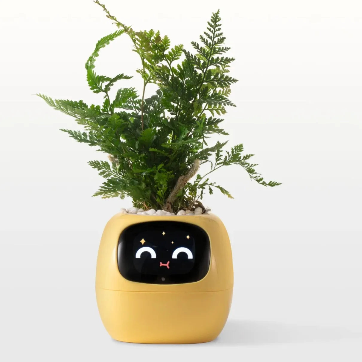 Ivy Smart Planter